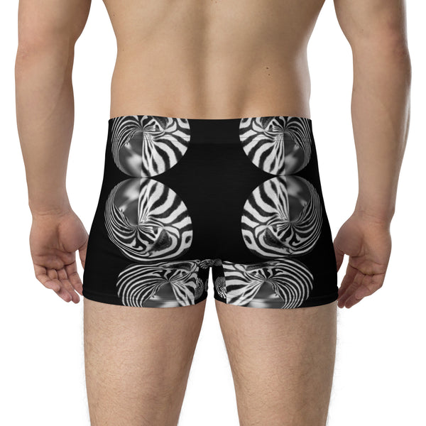 Boxer Briefs in Eye Colors