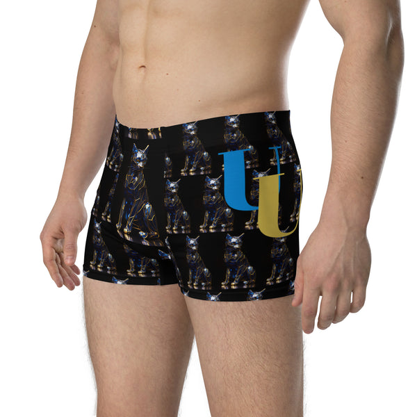 Boxer Briefs in Eye Colors