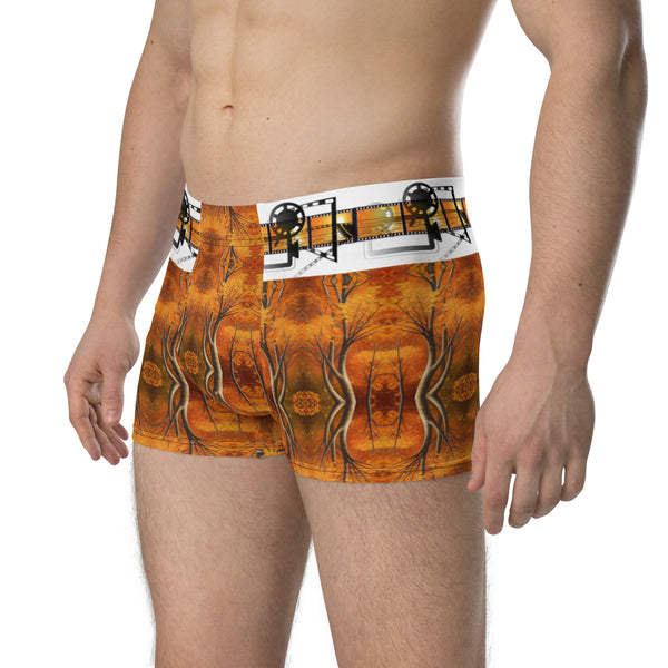 Boxer Briefs in Eye Colors